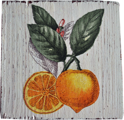 Decoupage cytryna