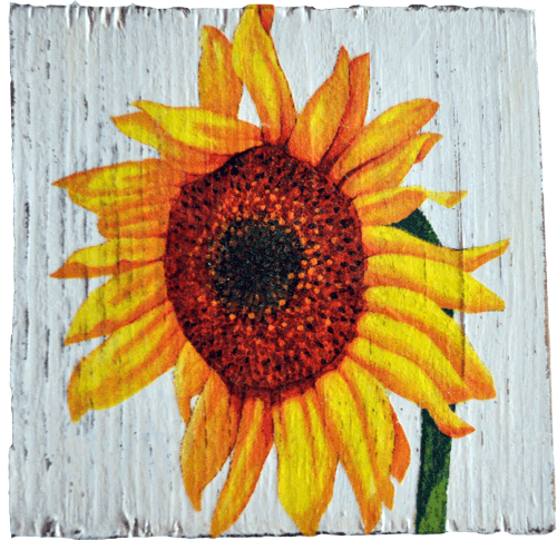 Decoupage s�onecznik