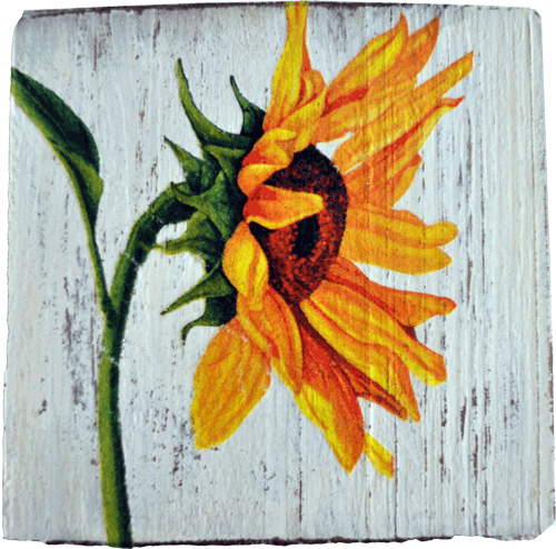 Decoupage s�onecznik 2