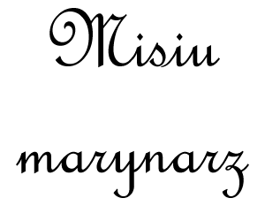 Decoupage Misiu marynarz